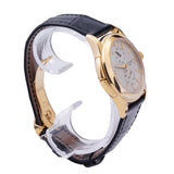 Patek Philippe Travel Time 18k 5134J-011 37mm
