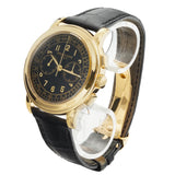 Patek Philippe Chronograph Complications Chronograph 42mm 5070J-001