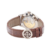 Patek Philippe Perpetual Calendar Salmon Dial 5320G-011