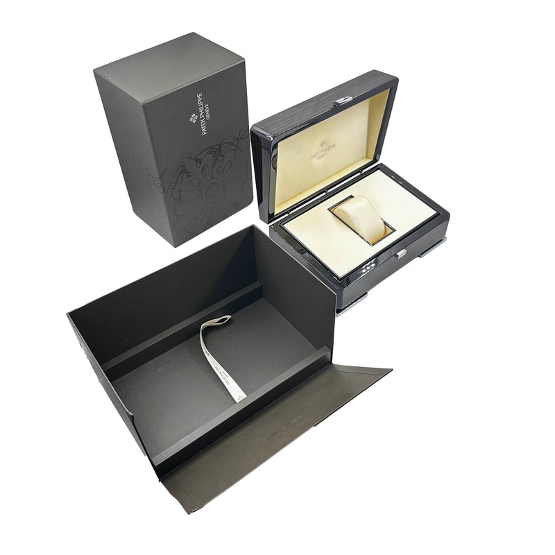 Patek Philippe World Time Platinum 38.5mm 5230P-001